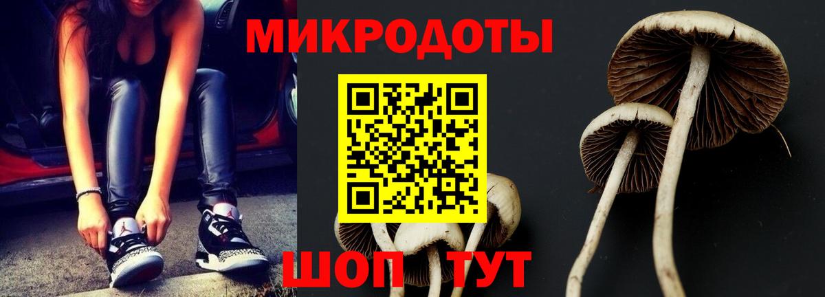 Новый Уренгой  Галлюциногенные грибы GOLDEN TEACHER  сколько стоит  Вход с VPN 